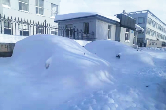 211109 - ��ѩ���Bodog���������ſ�_����.jpg